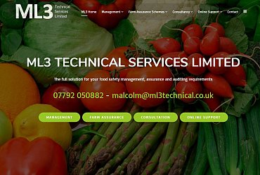 Portfolio/ml3technical/carlisle-website-design_1491725120.jpg