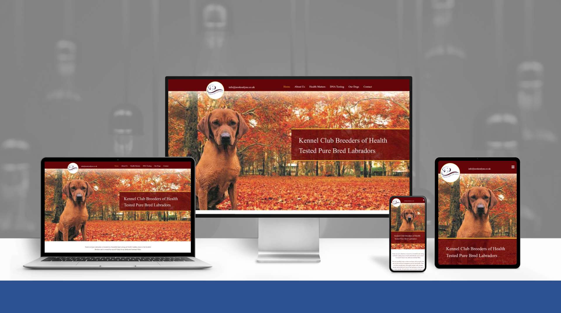 Nook on Lyne Labradors