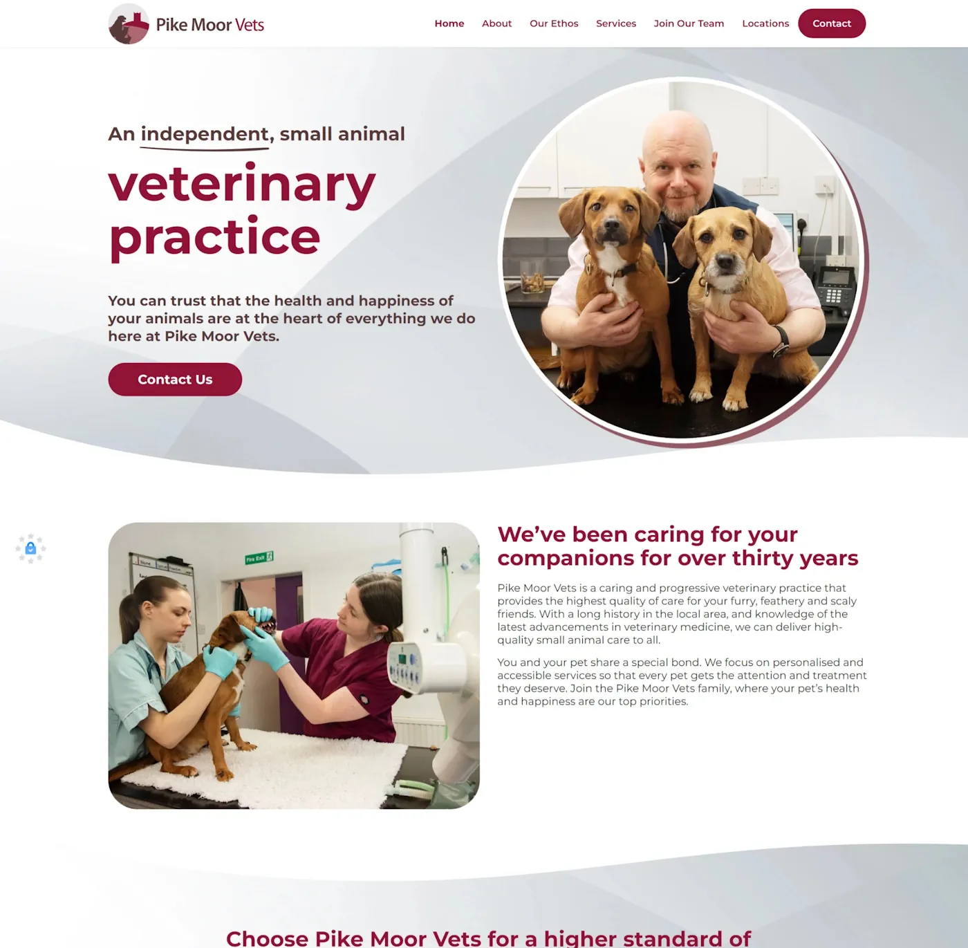 Premium Veterinary Practice Website Design in Carlisle, Cumbria and the UK