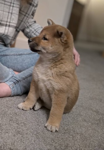A new team member for 2020!
